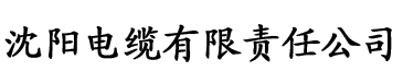 虫小虫邀请码电缆厂logo